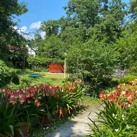 Panorama Vendeghaz *