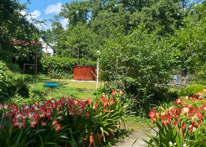 Panorama Vendeghaz *